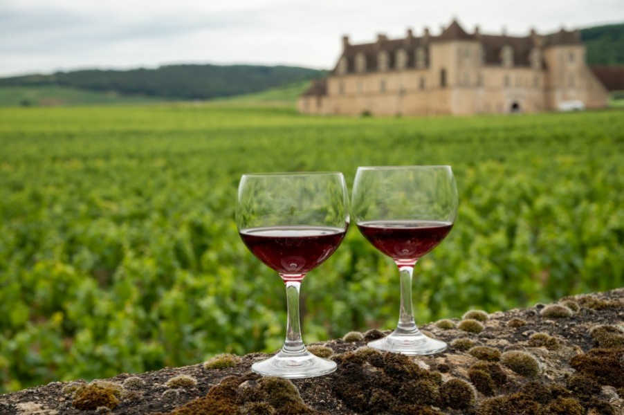 Grand cru de Bourgogne : un voyage dans l'élite des vins français